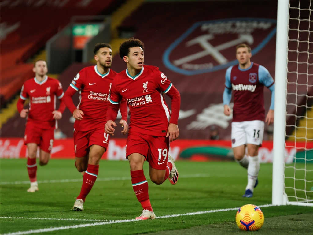 团队中承担 团队中承担